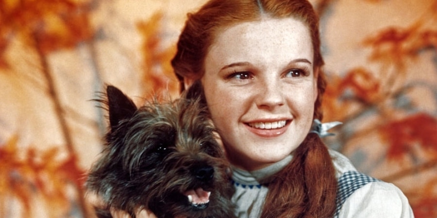 Óz, a csodák csodája – Judy Garland
