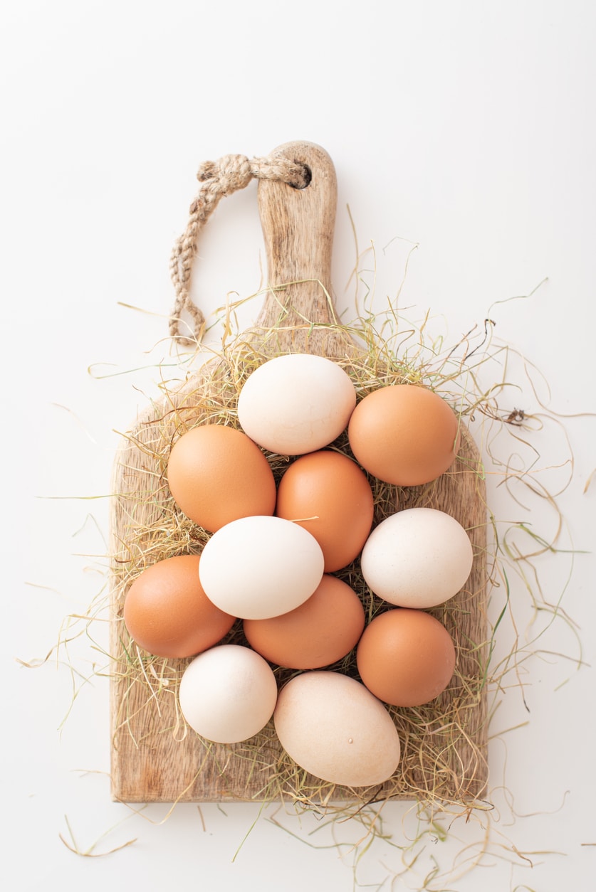 Állati eredetű fehérjék