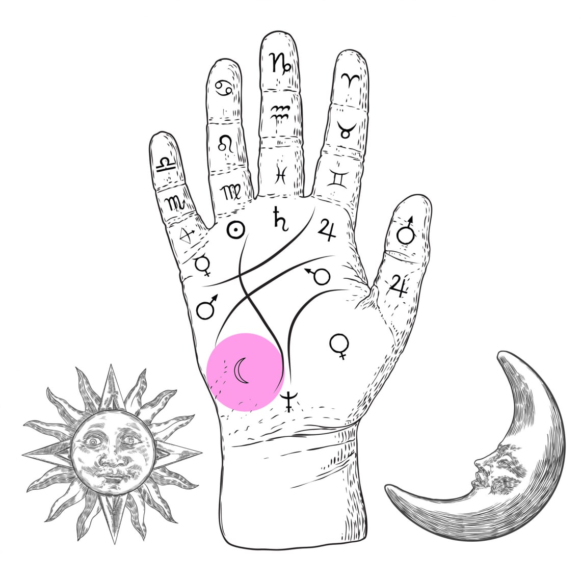 Hold-domb