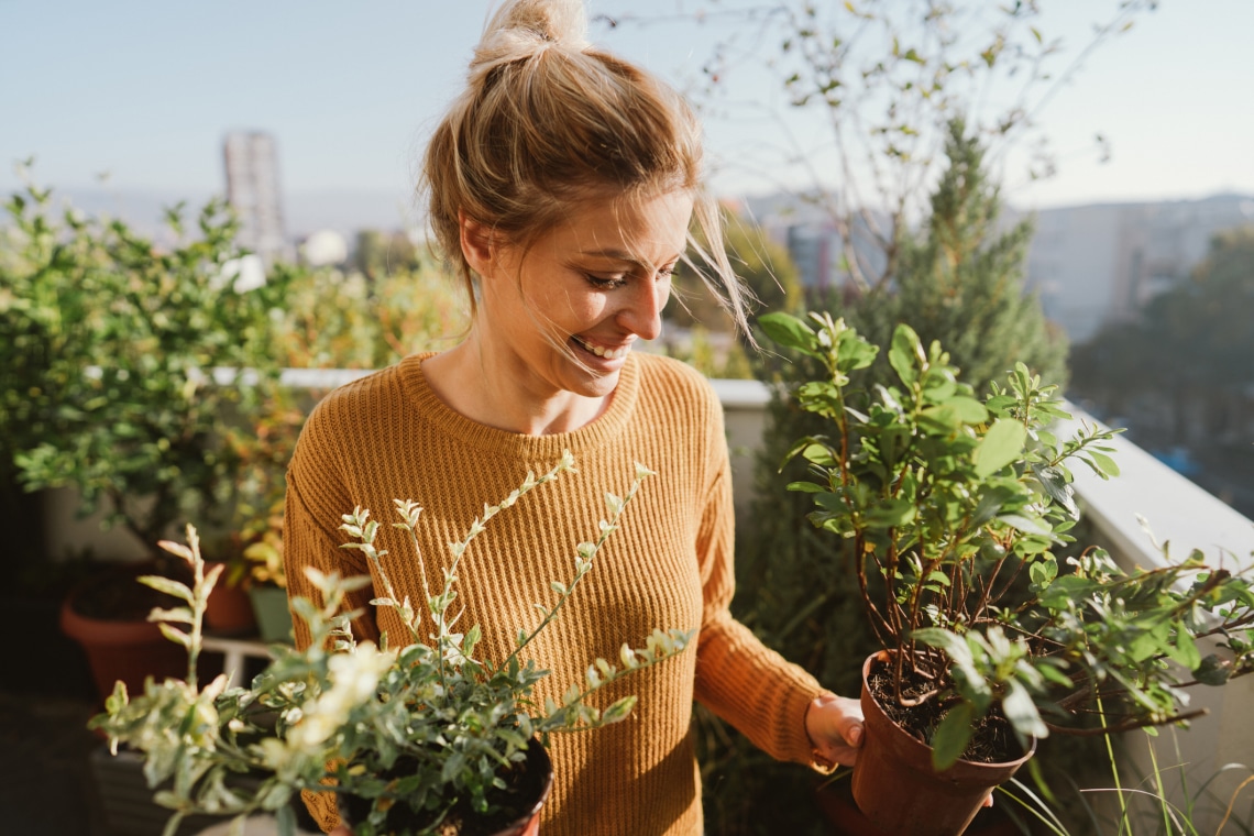 A hortikulturális terápia sikerei