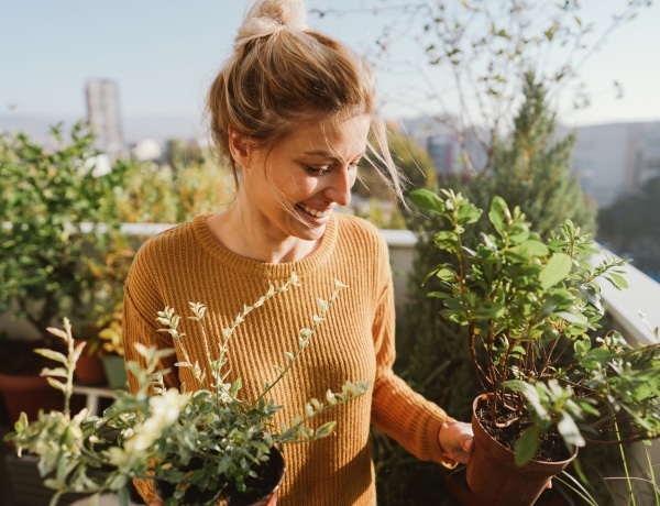 A hortikulturális terápia sikerei