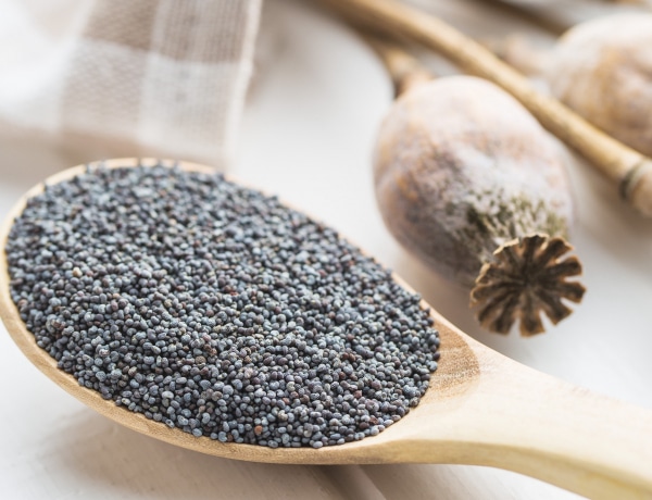 6 okot is mondjunk, amiért több mákot kell enned