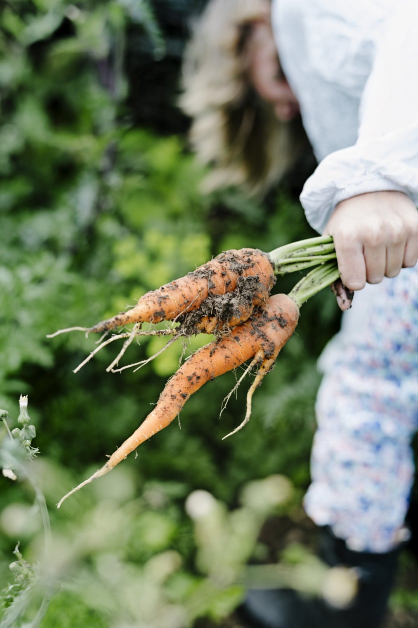 A répától megtanulsz fütyülni