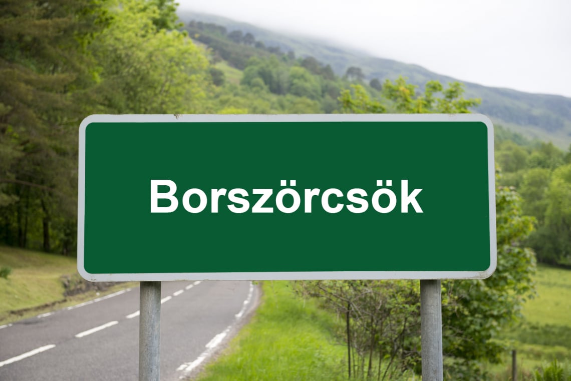 Borszörcsök