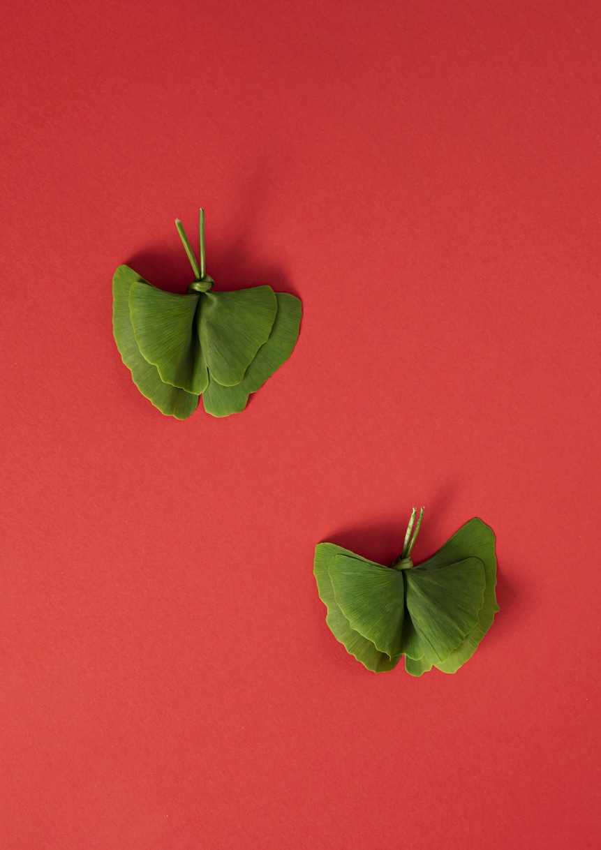 Az élő „őskövület”