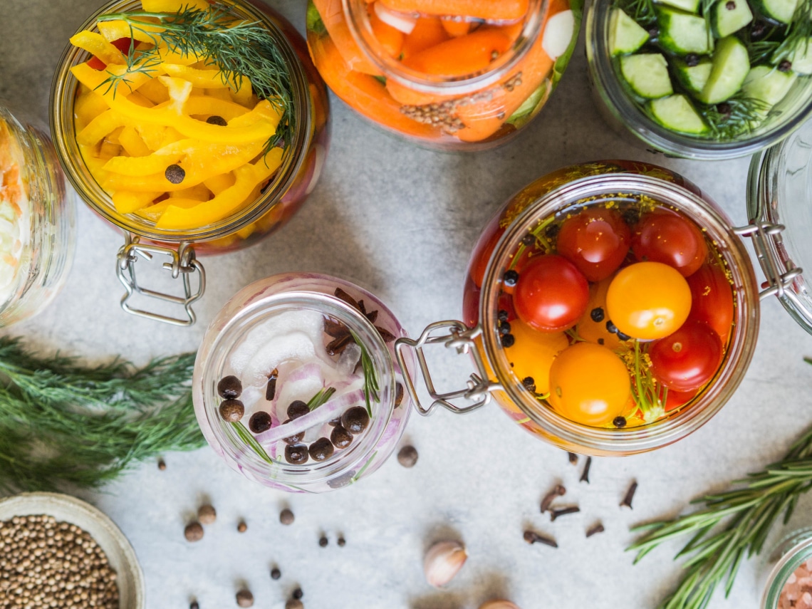 Fermentált zöldségek kutyáknak – a szuperegészséges táplálék