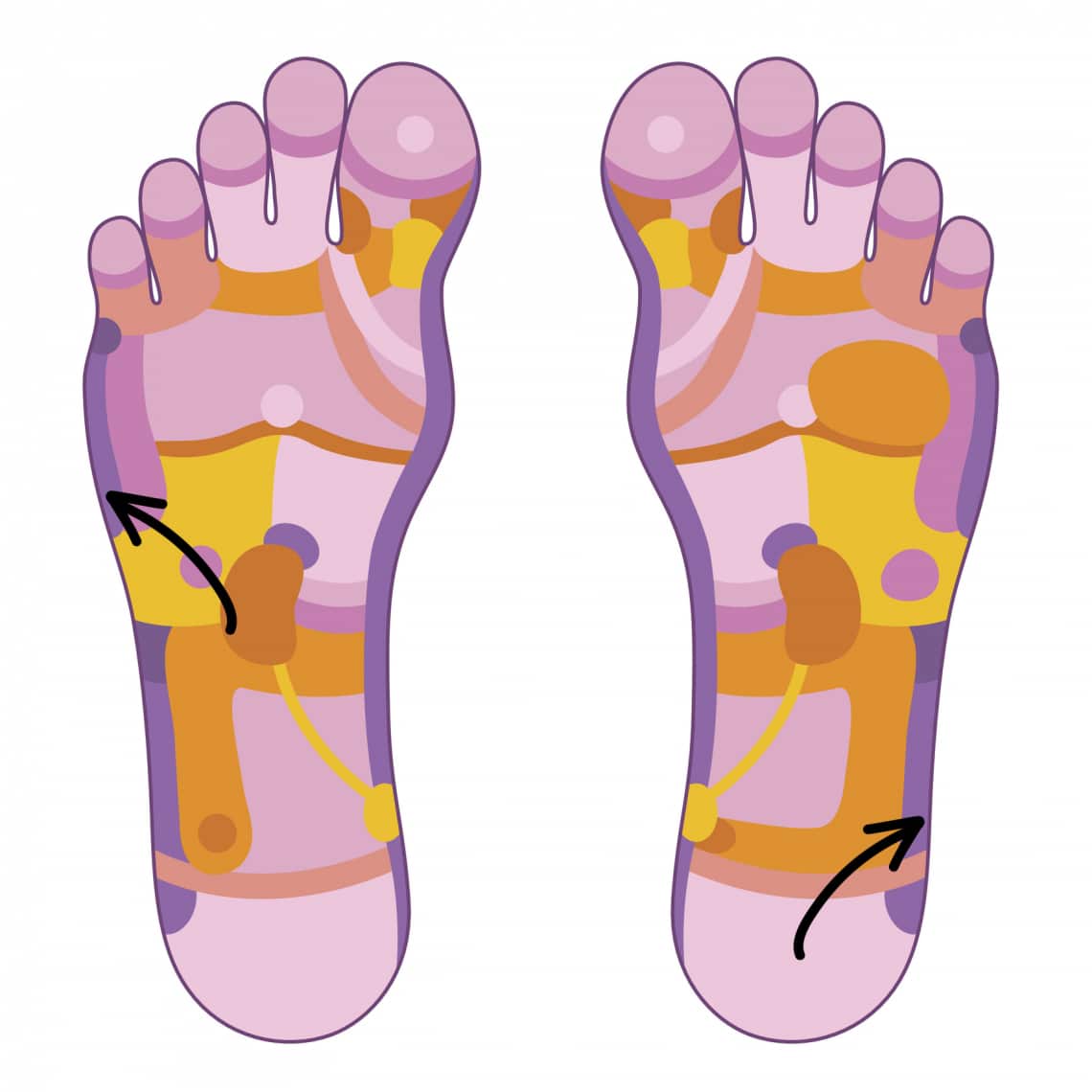 Karok és térdek zónái