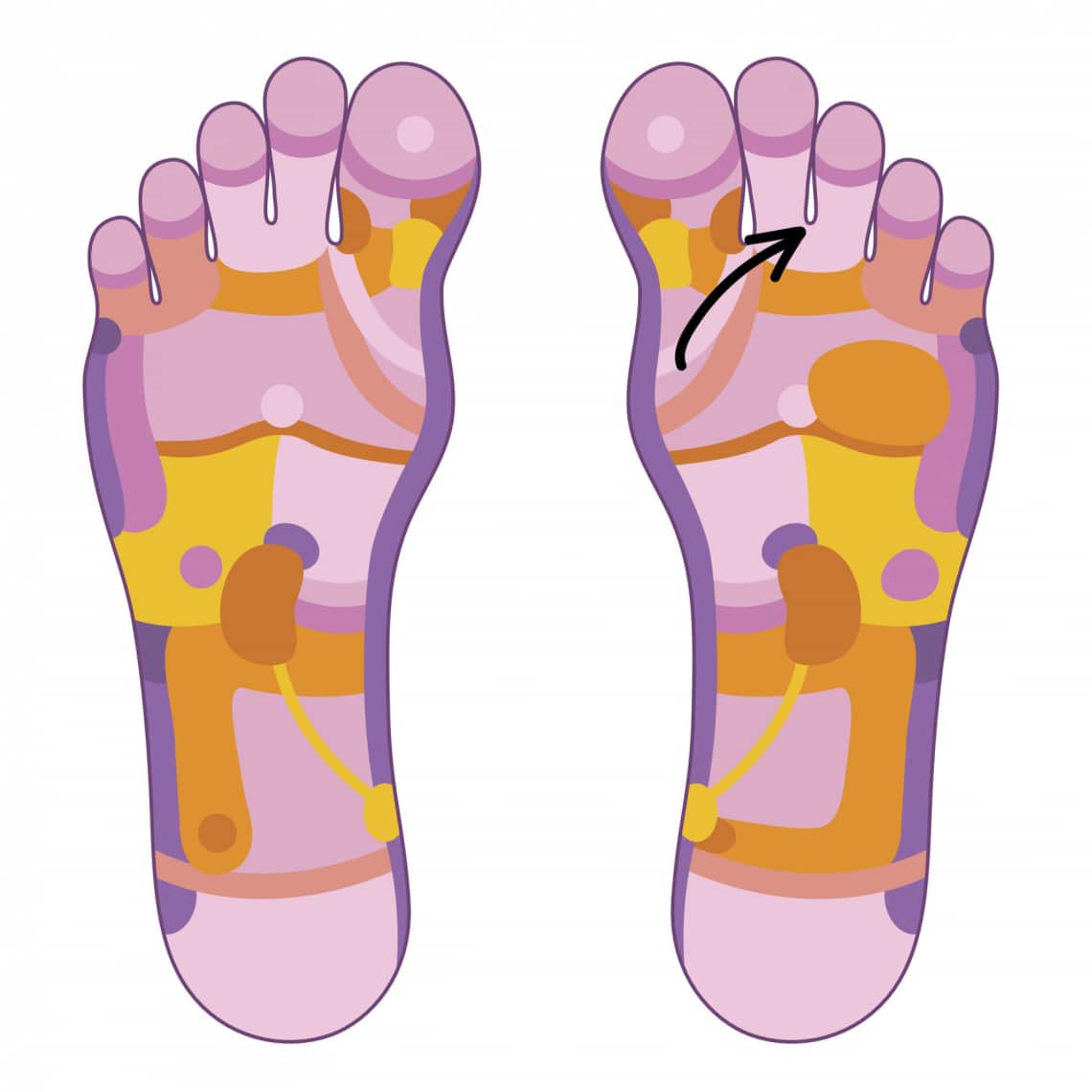 Felső nyirokutak zónája