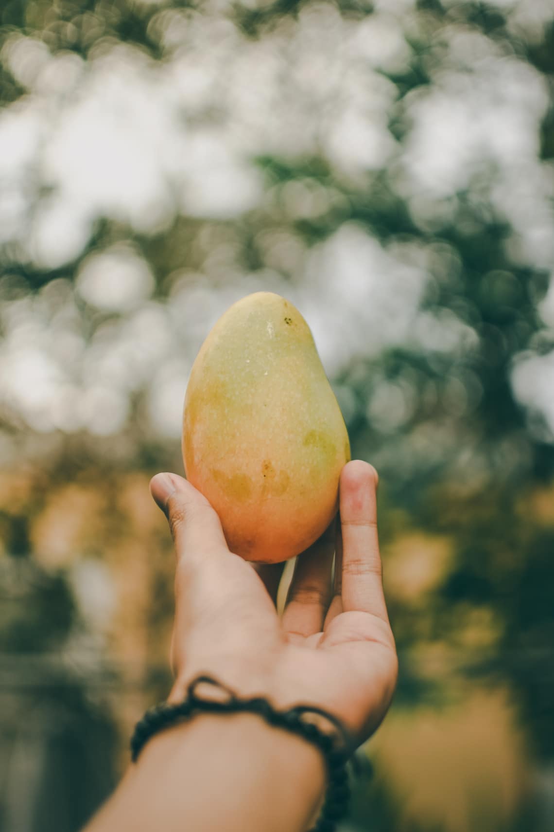 Kitűnő antioxidánsforrás