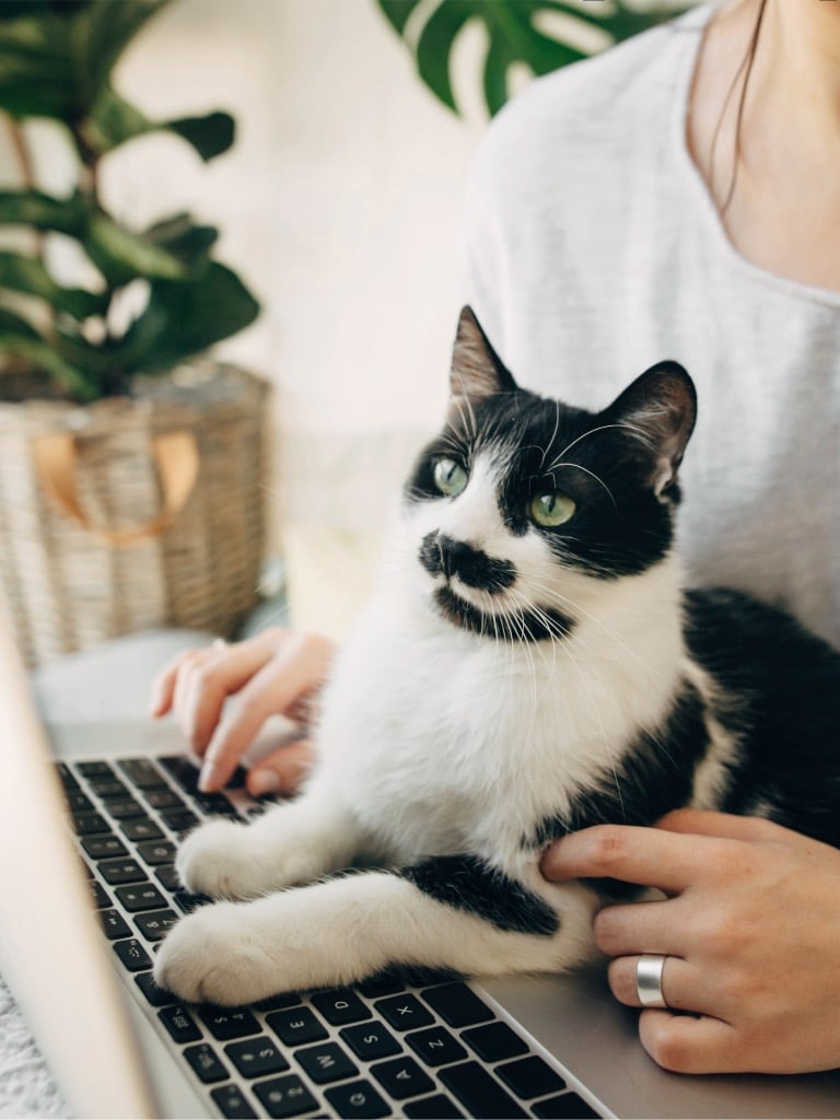 Én itt dolgozni próbálok!