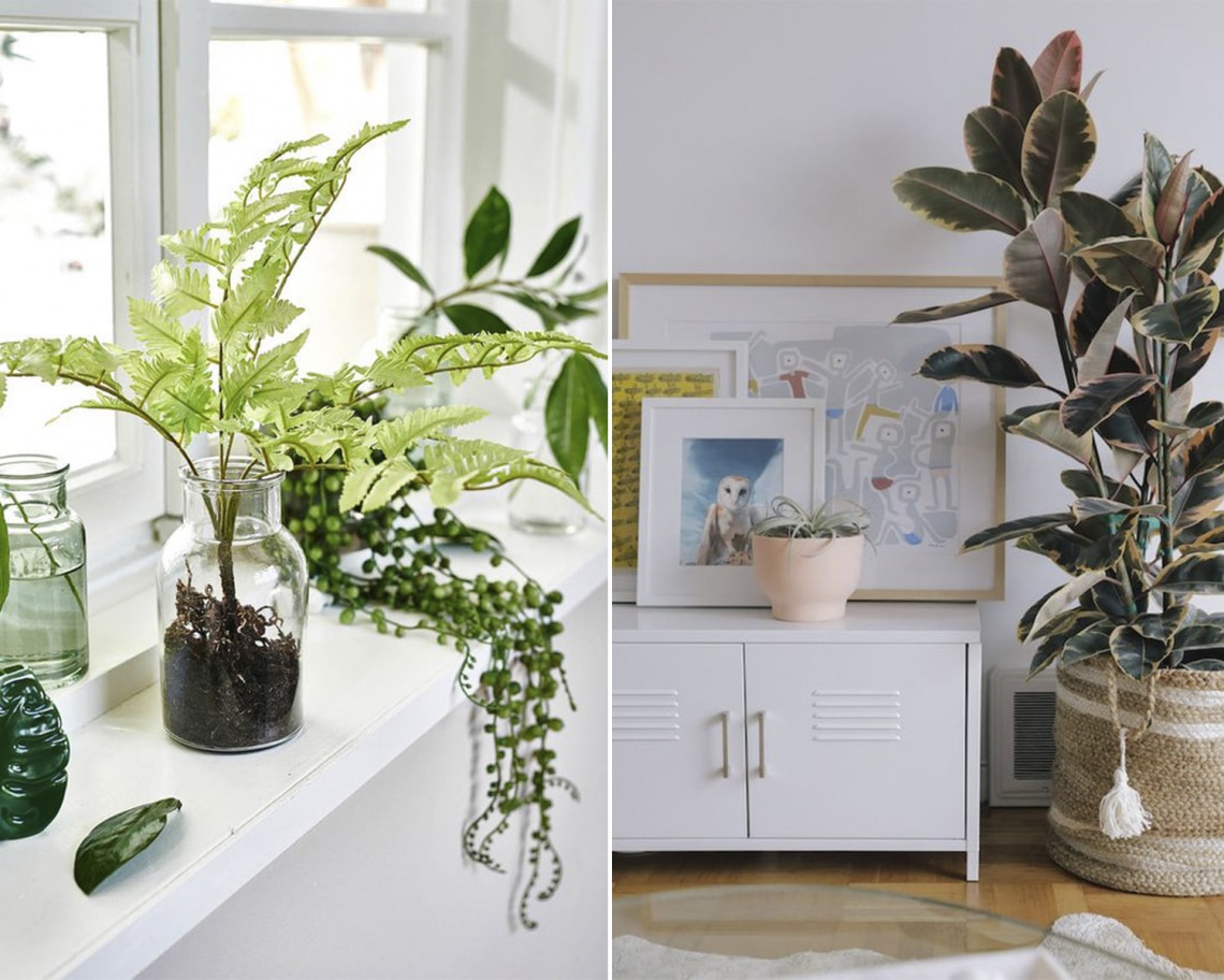 Szabályos műnövények