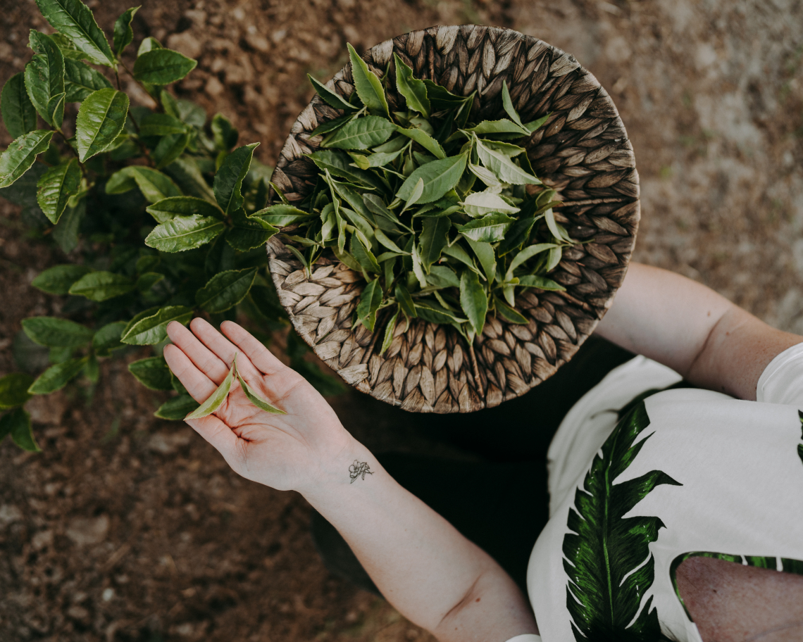 A magyar vállalkozó, aki szenvedélyünkké teszi a teázást
