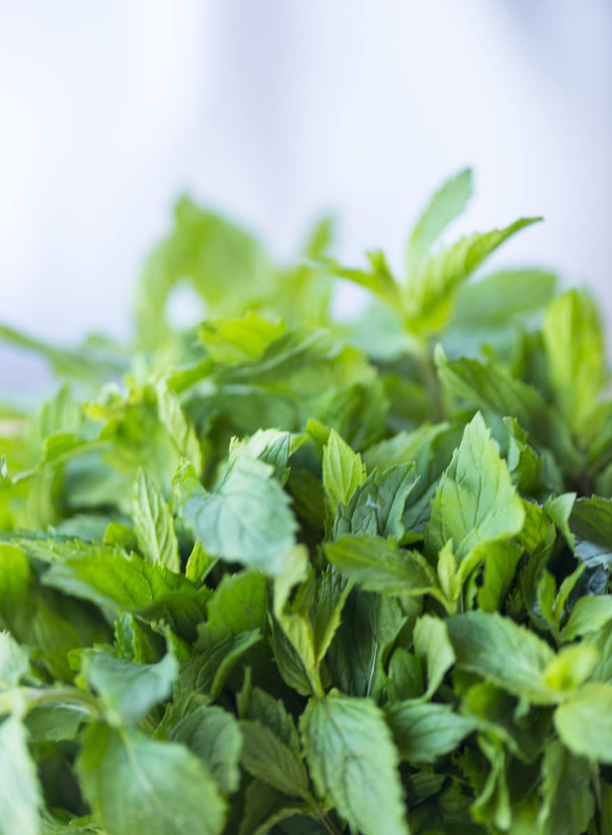 Pacsuli – Szerencse minden mennyiségben