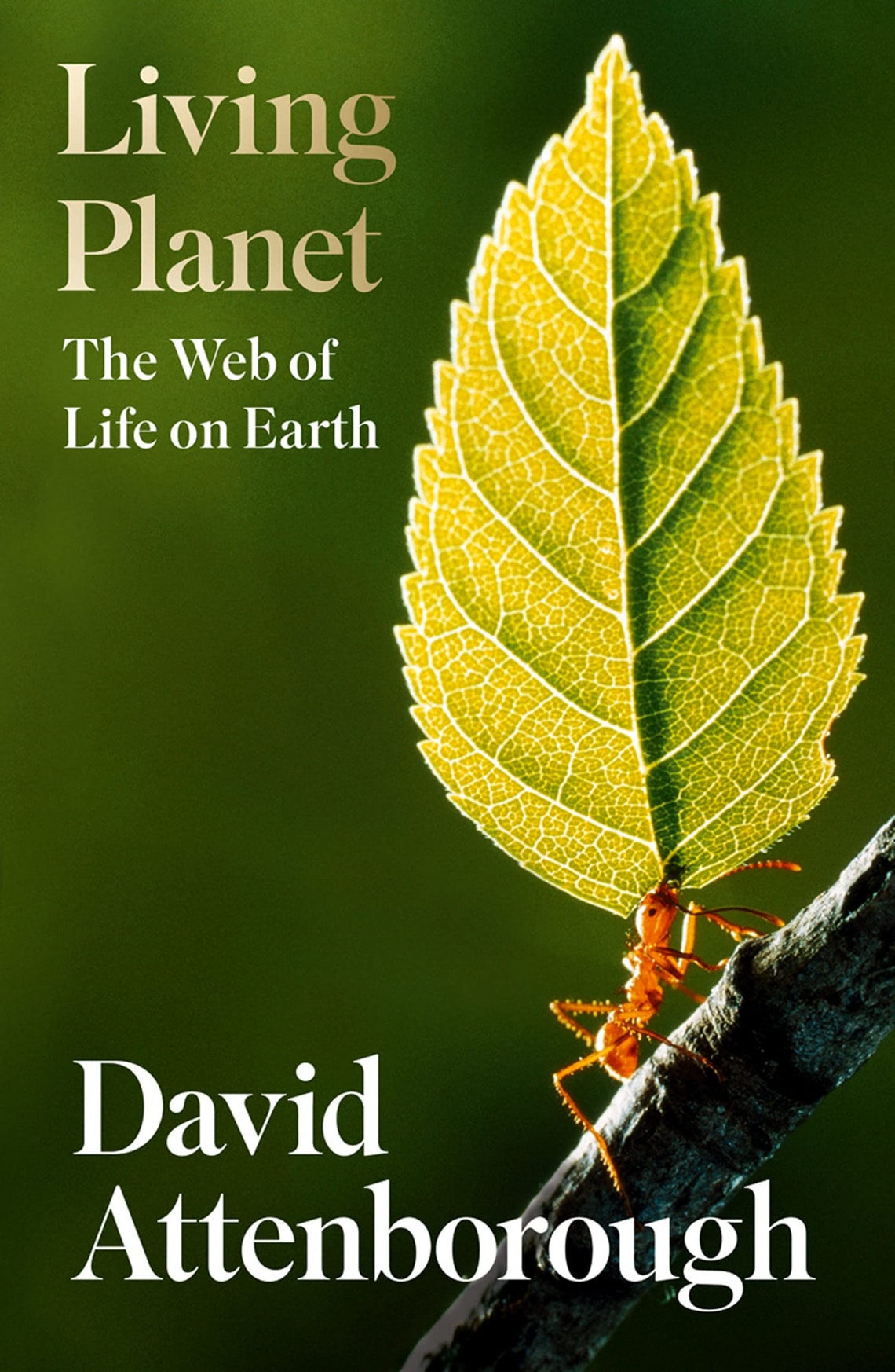 Az élő bolygó (The Living Planet, 1984)