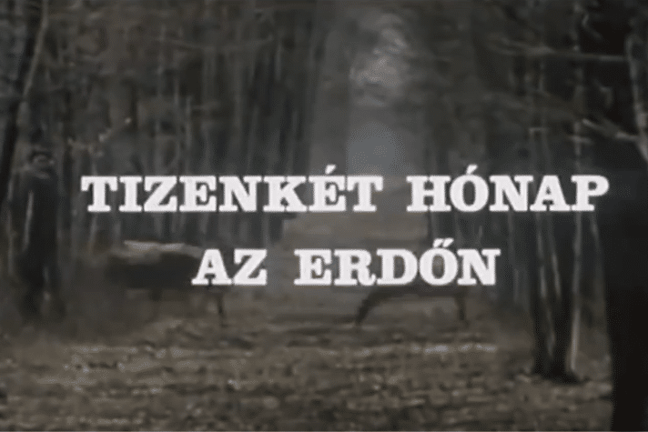Tizenkét hónap az erdőn (1988)
