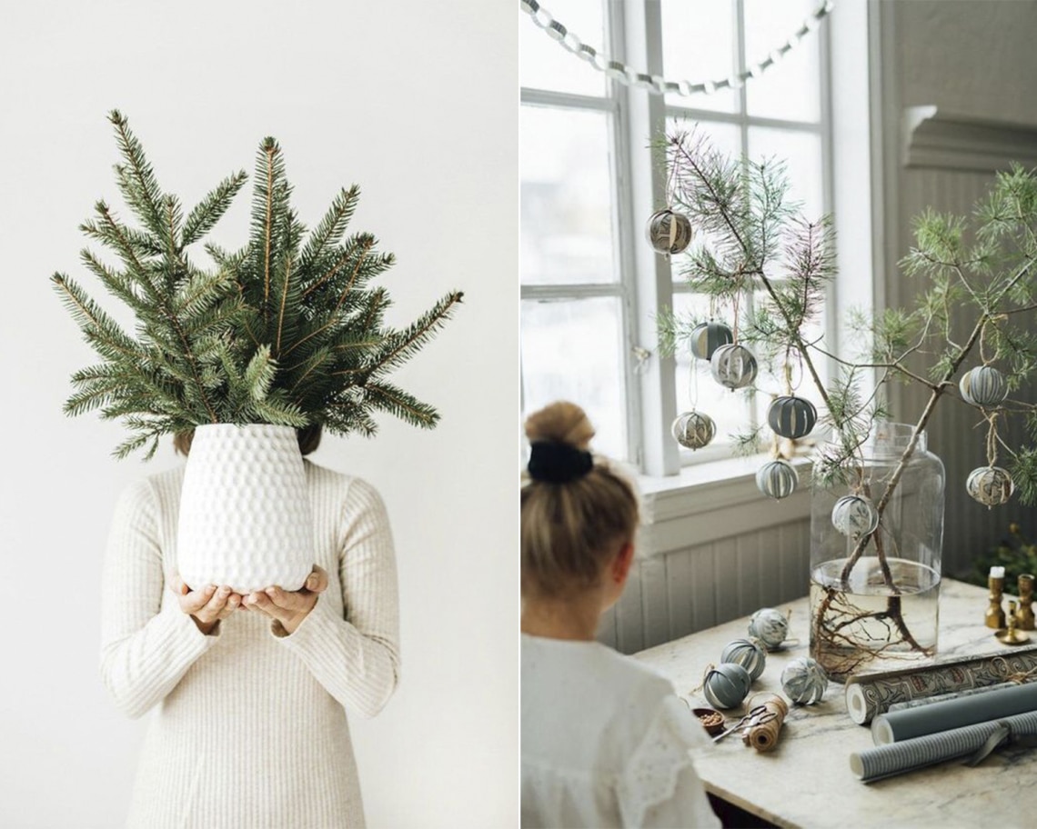 Vázára való fenyőág