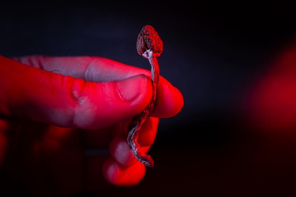 Pszichedelikus terápia végstádiumú rákbetegeknek