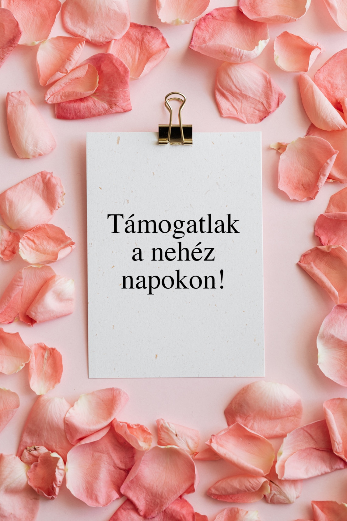 Támogatlak a nehéz napokon!