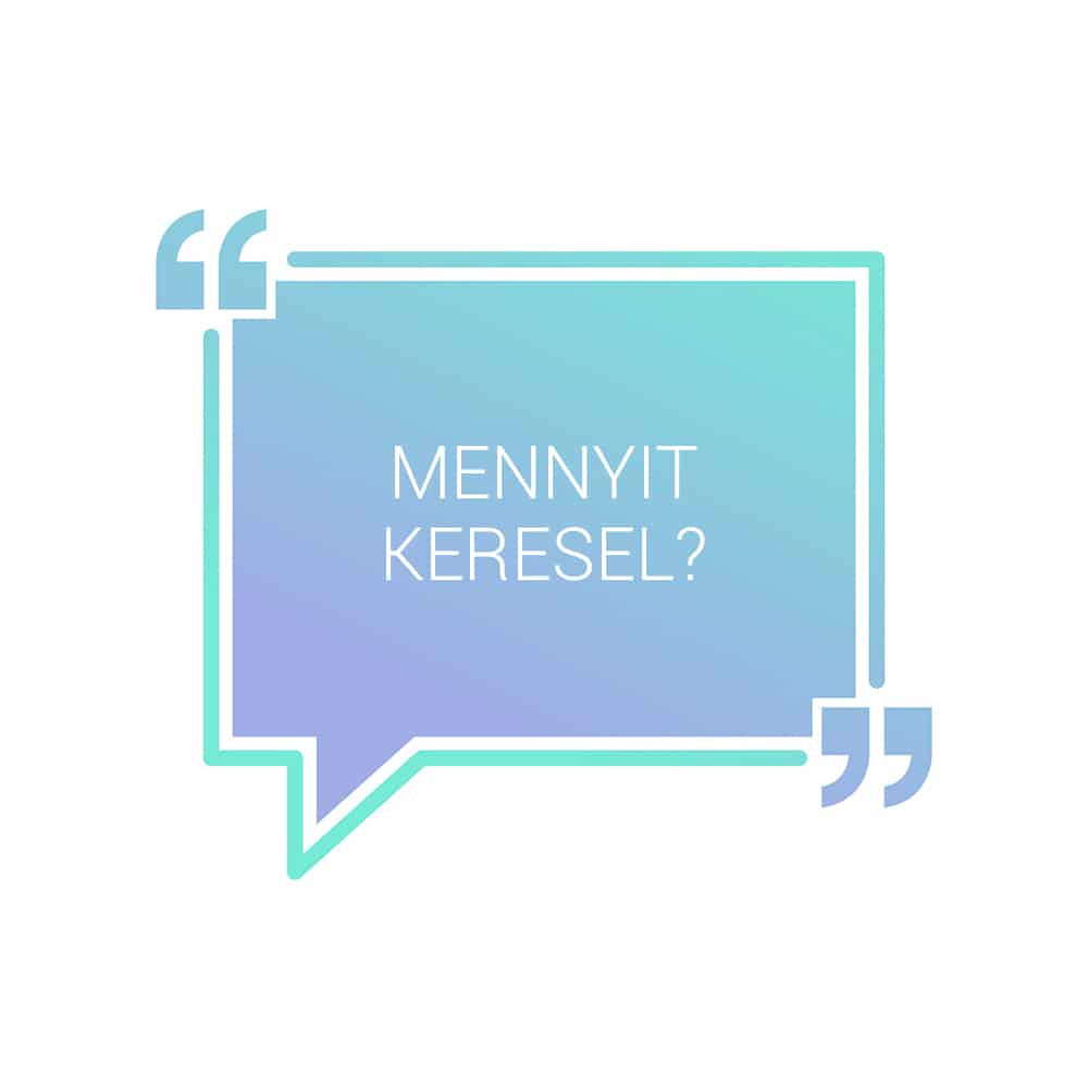 Mennyit keresel?