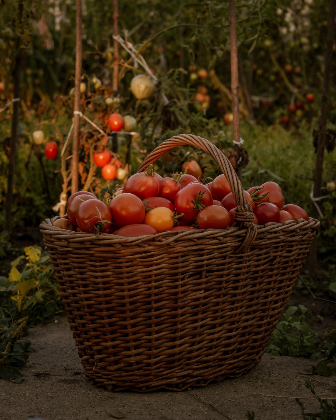 Adj hozzá legalább egy fenntartható módszert a kertészeti rutinodhoz