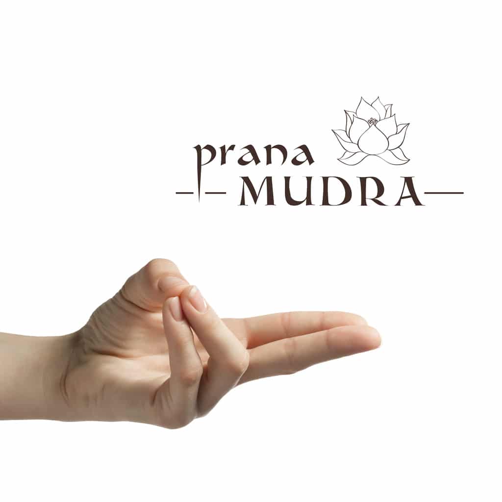 Pran-mudra