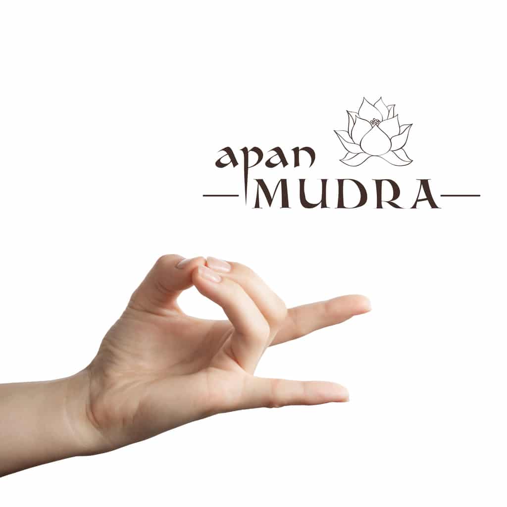 Apan-mudra