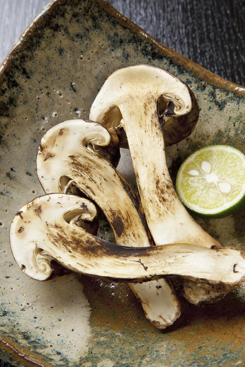 Matsutake gomba