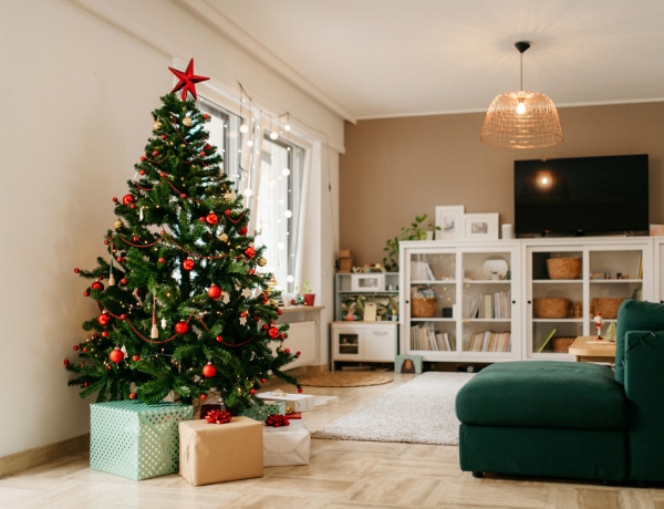 Hogy élheti túl a gyökeres karácsonyfa az ünnepeket?