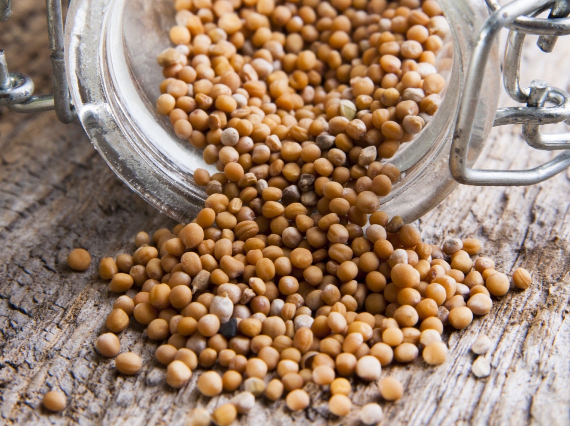 Mustárban a csoda: daganatellenes, májtisztító és még sok minden más