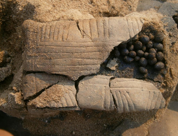 Szívfájdítóan szép lelet: csörgőjével együtt temették el a babát 2500 évvel ezelőtt