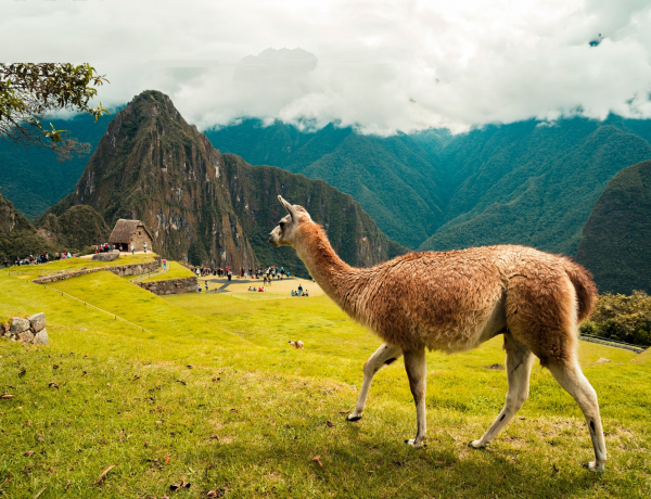Perui túra kalandoroknak