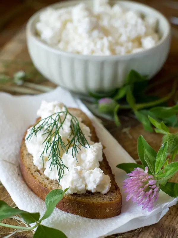 Zsírszegény túró