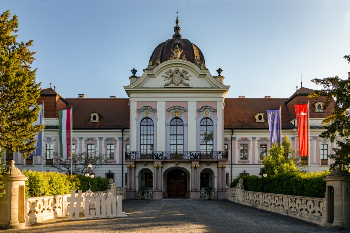 Melyik fából van a legtöbb Magyarországon? 7 érdekes tény hazánkról