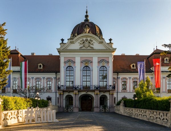 Melyik fából van a legtöbb Magyarországon? 7 érdekes tény hazánkról