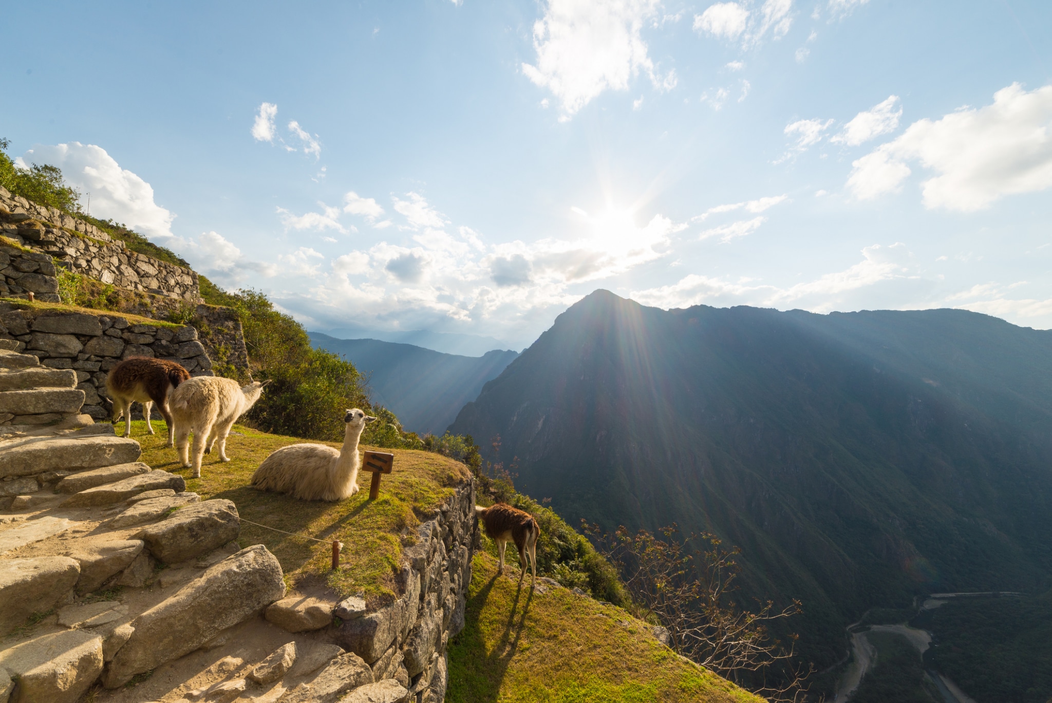 Esta tecnología dio «poder» a los incas