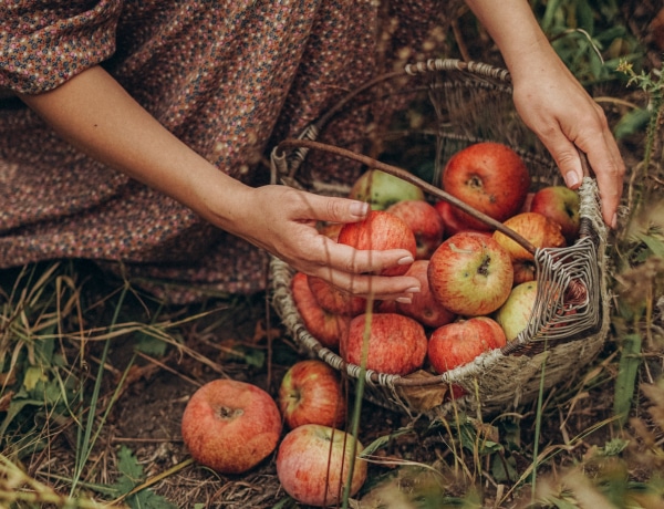 8 természeti nép, akiktől van mit tanulnunk a táplálkozás terén
