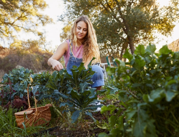 Balkonláda projekt indul! 8 zöldség, amit otthon könnyen termeszthetsz