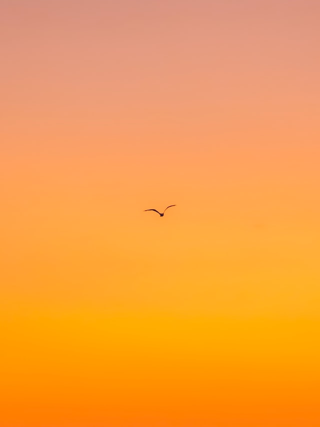 Élénk narancssárga