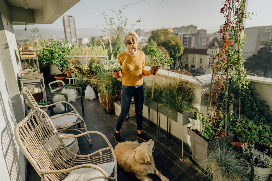 10 káprázatos balkon-kert: te is meg tudod csinálni!