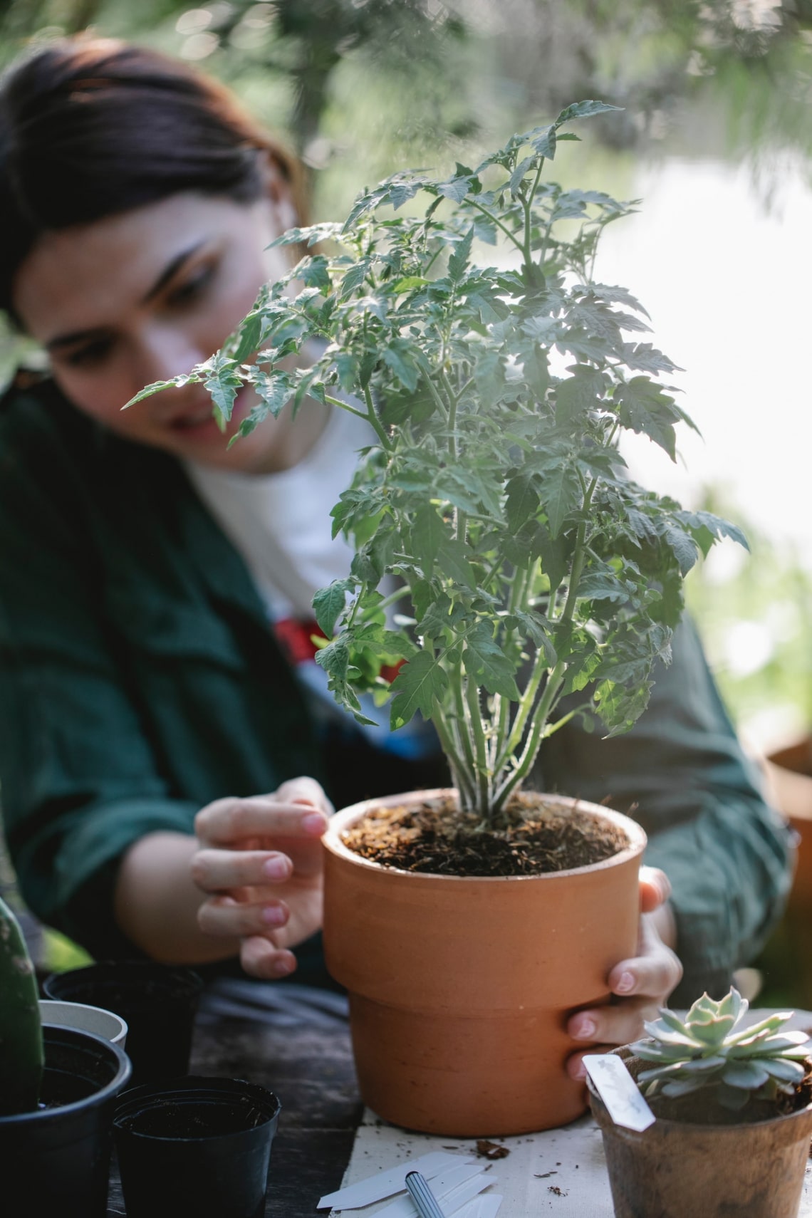 Nem figyelsz a hőmérsékletre