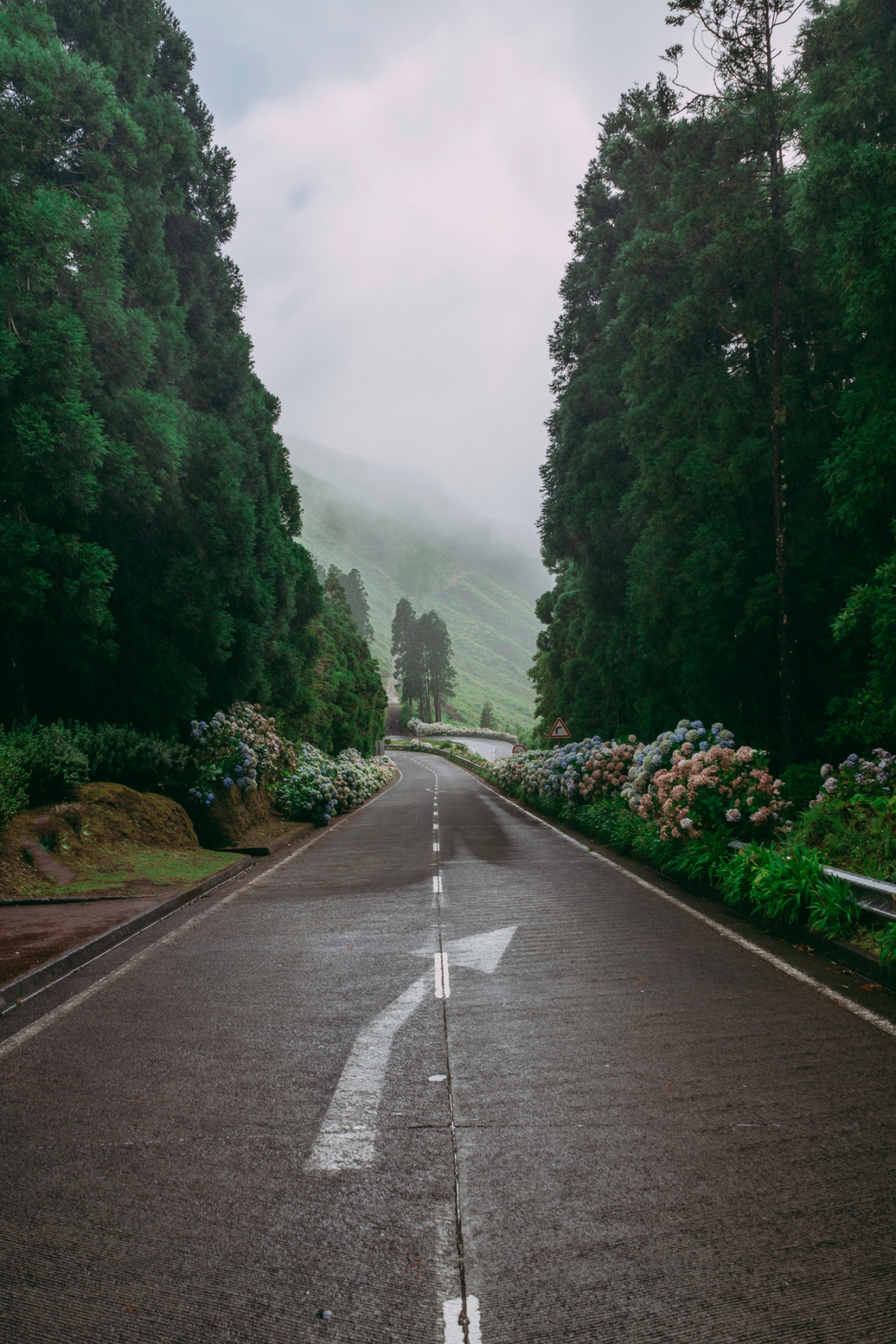 Corvo Azores, Portugália