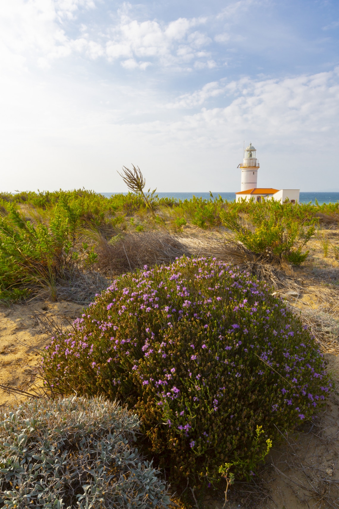 Hiiumaa, Észtország