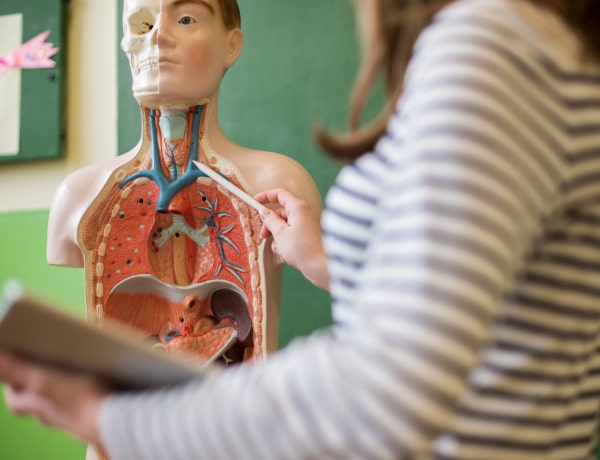 Az emberi gyomorsav a fémmel is végezhet. Különös tények a testről