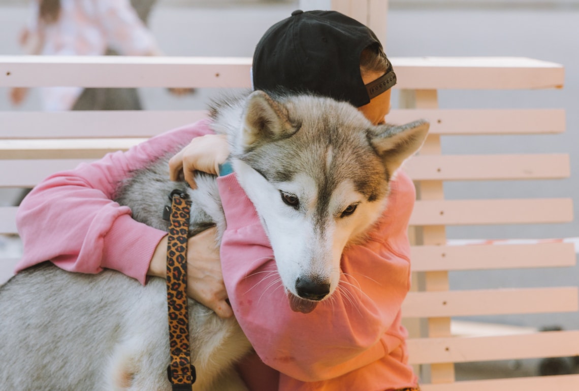 „Szavak nélküli társ” – 11 megható kutyás idézet