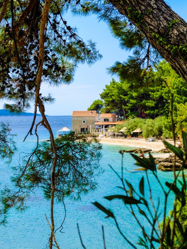 Brač