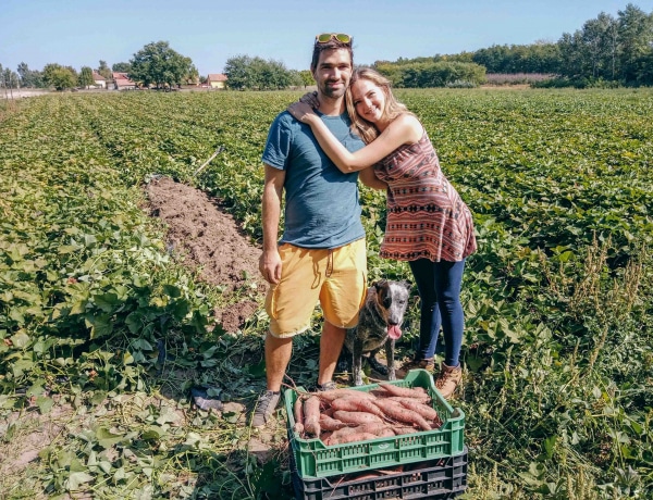 Az édesburgonya ezer arcával sikeres a magyar márka – interjú a Hékás tanyasi finomságok tulajdonosával