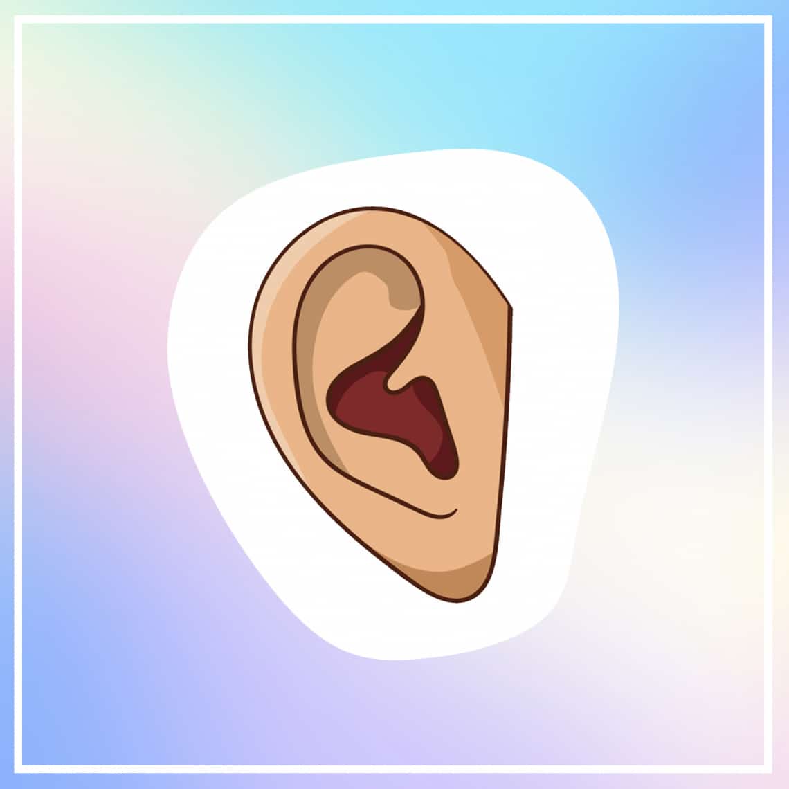 Ha a fülkagyló felső része kerek