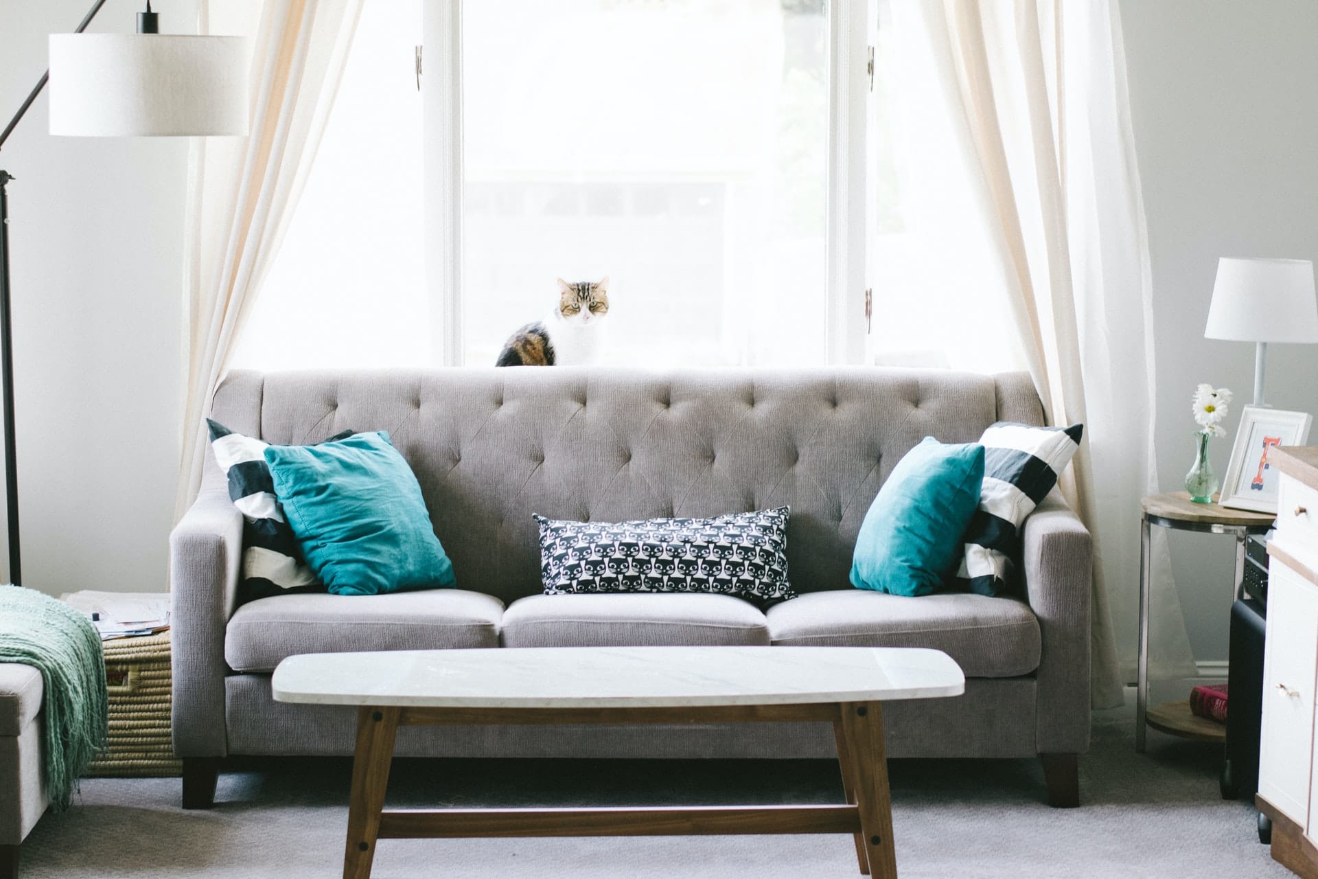 8 csodás kanapé kis lakásba – Árak, lelőhelyek