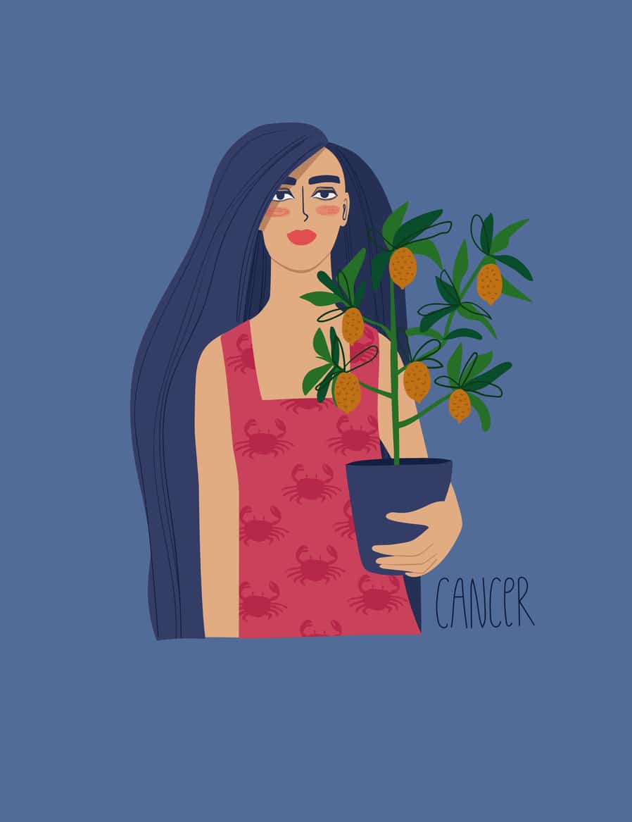 Rák – Minőségi idő