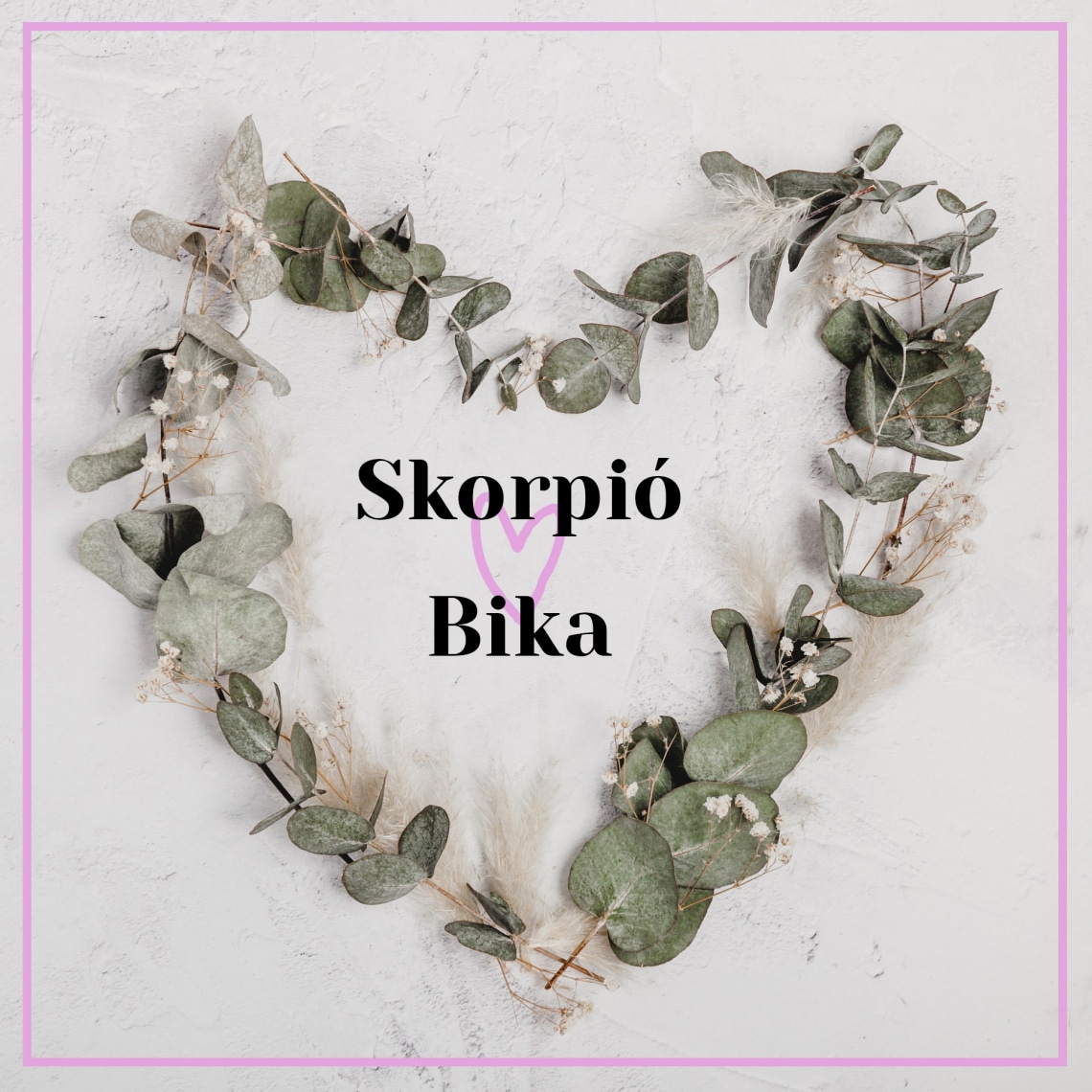 Skorpió – Bika